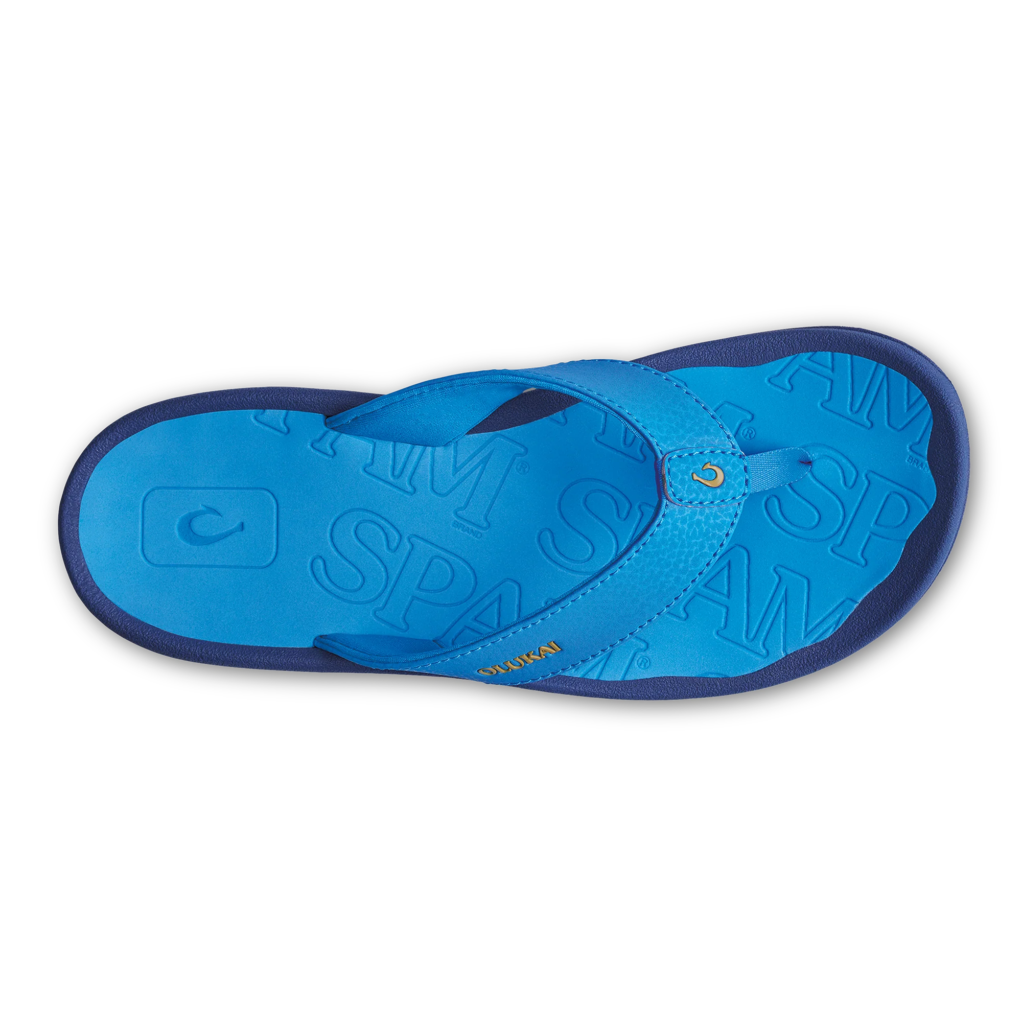 ‘Ohana - Bold Blue / Bold Blue - Image 5