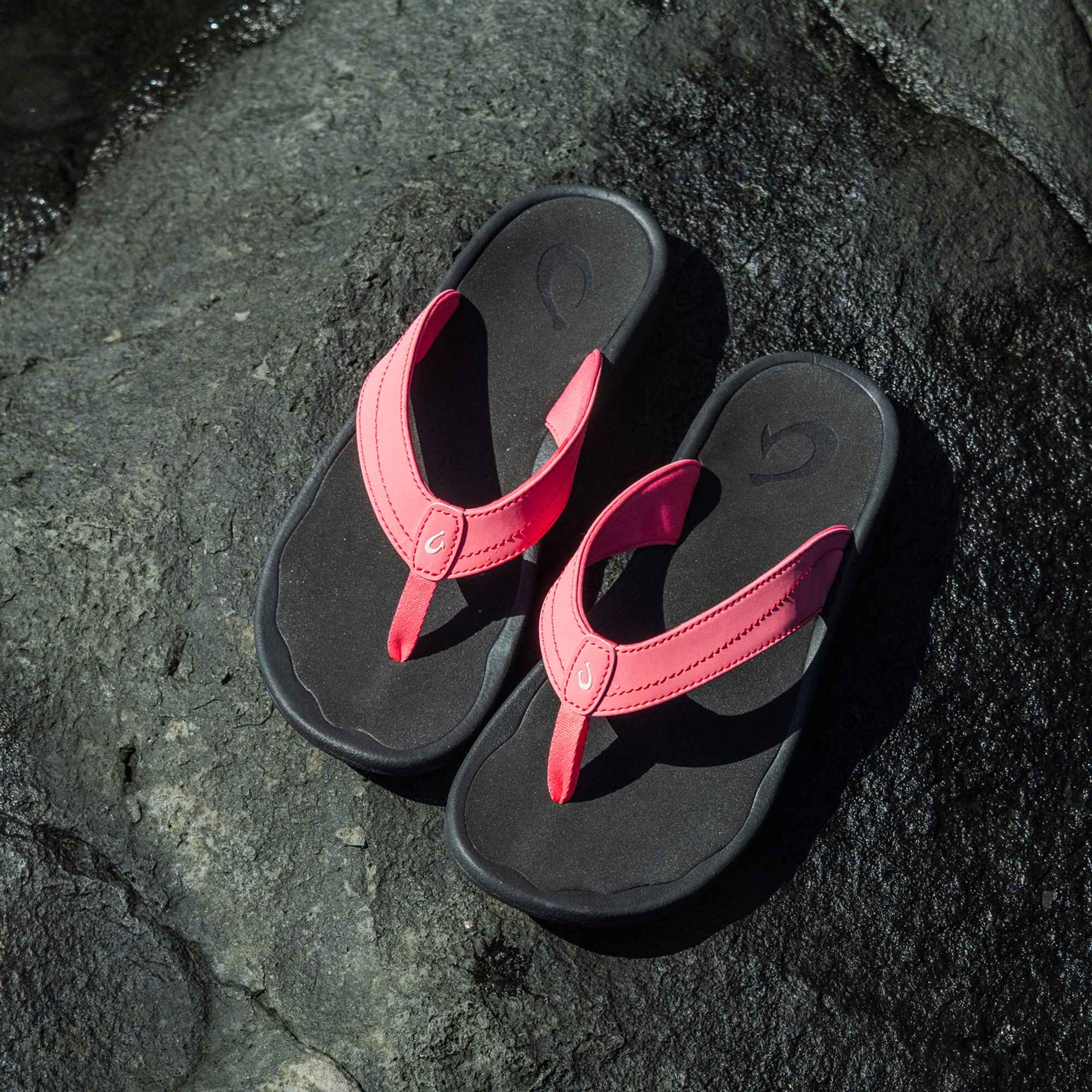 ‘Ohana - Hot Pink / Black - Image 2